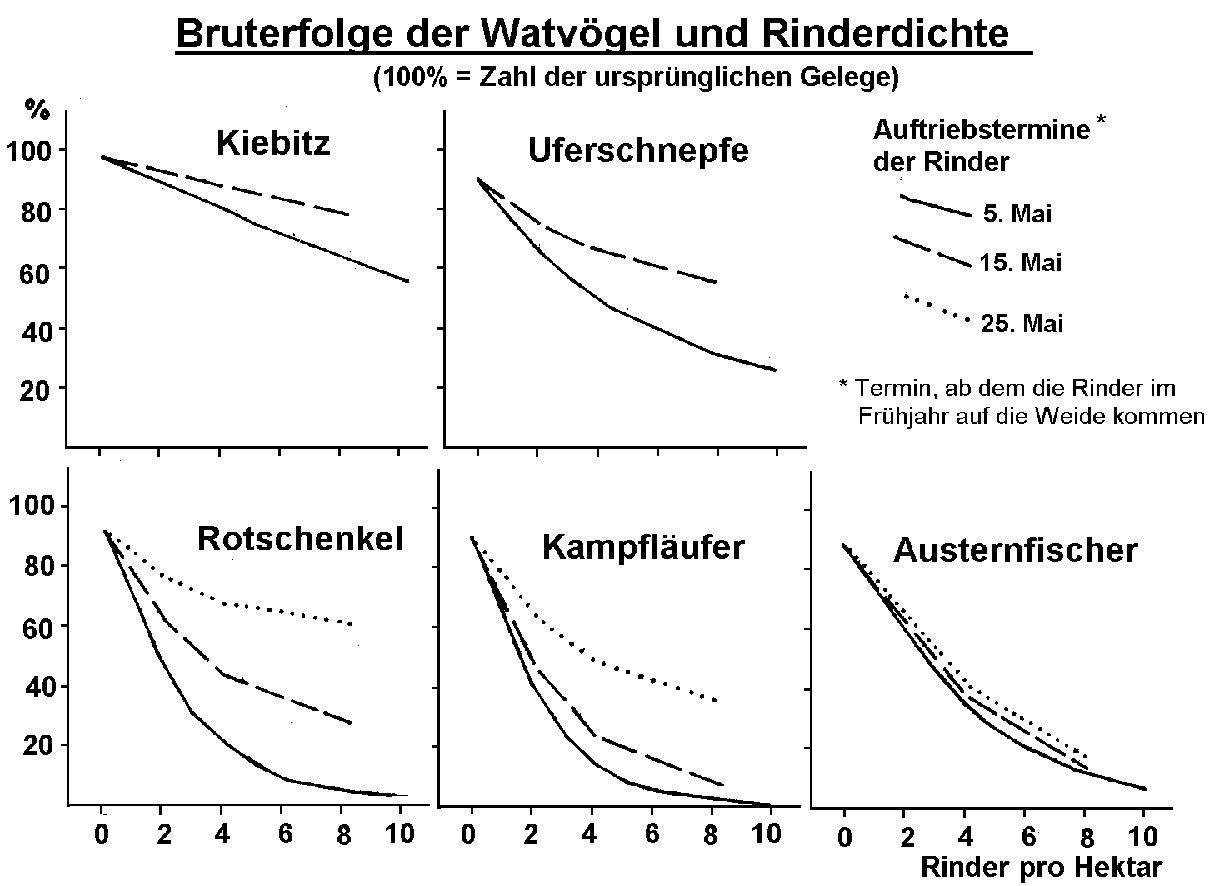 abhngigkeit des bruterfolges von der rinderdichte und den auftriebsterminen - Okologische Nische Beispiel abhngigkeit des bruterfolges von der rinderdichte und den auftriebsterminen - Okologische Nische Beispiel